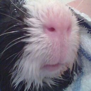 Meet your Posher, Jill